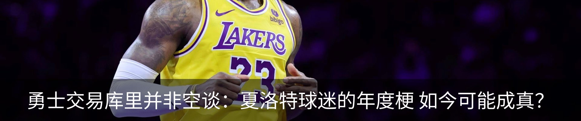 最新动态