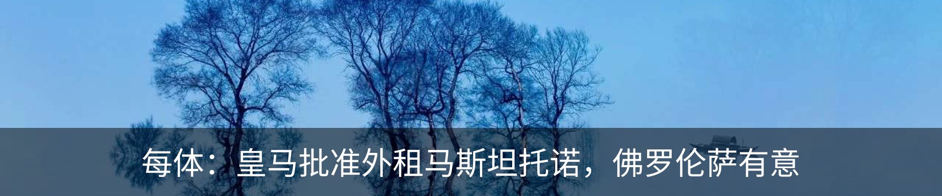 最新动态