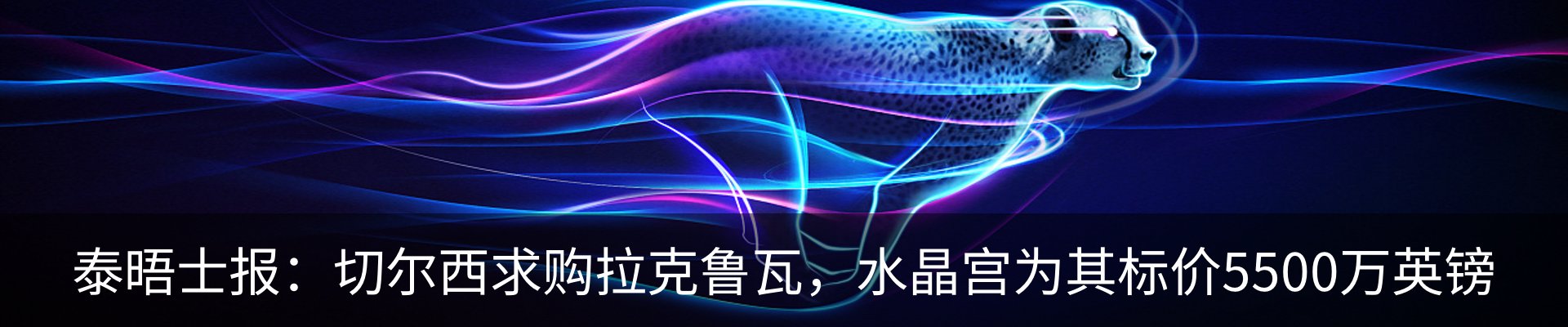 最新动态