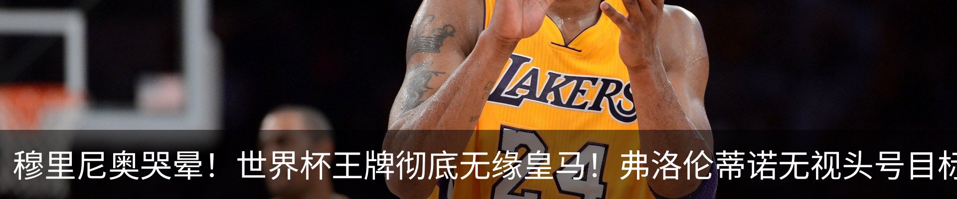 最新动态