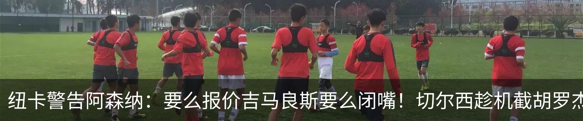 最新动态