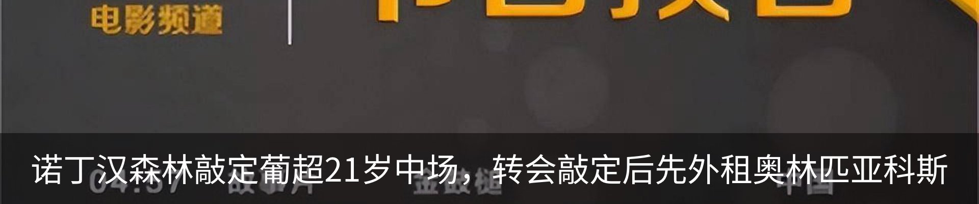 最新动态