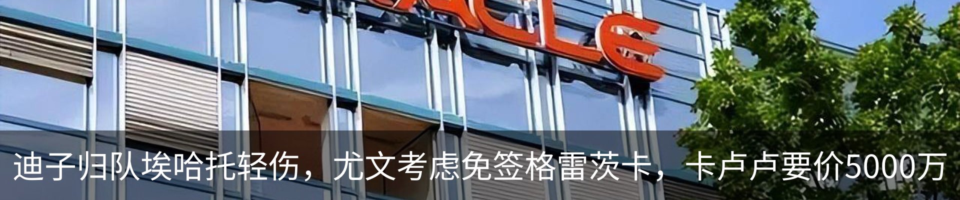 最新动态