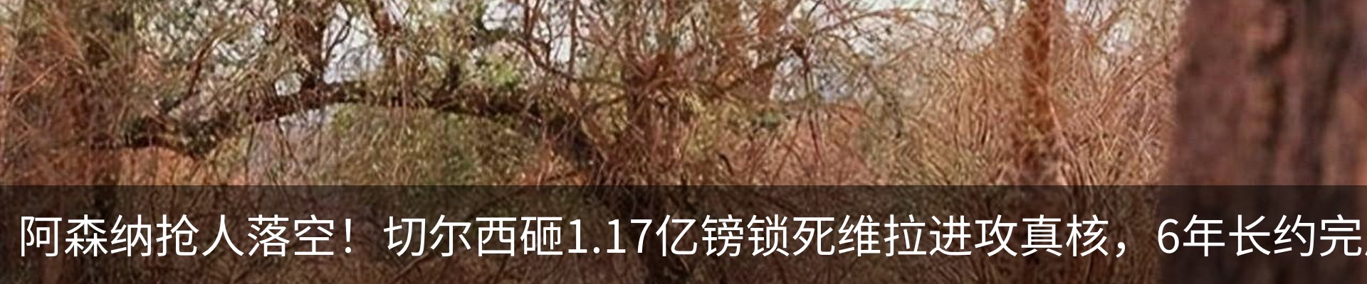 最新动态