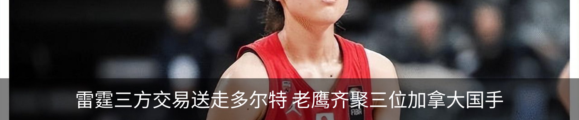 最新动态